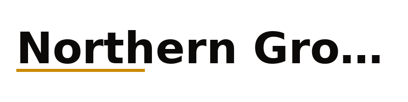 Northern Group logo